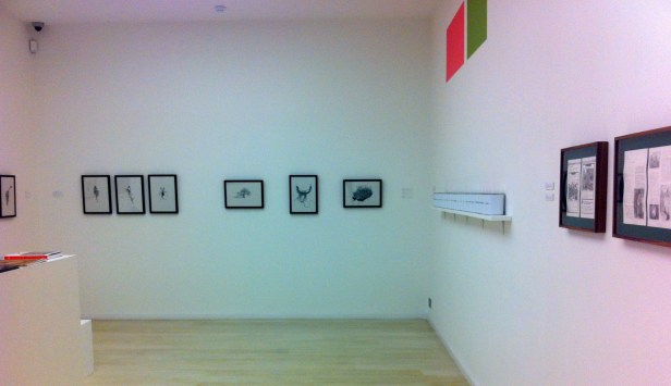 Installation view of 'Conflicted Memory' at Alan Cristea gallery, May 2013. (l-r) work by Miriam de Burca, Ninar Esber and xx. Image courtesy Kelise Franclemont and Alan Cristea gallery.