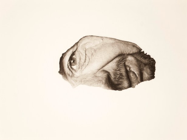 Jonny Shaw, 'drawing', 2013, pencil on paper, in 'Jerwood Drawing Prize 2013' at Jerwood Space, Bankside, London. Photo courtesy www.jonnydshaw.co.uk