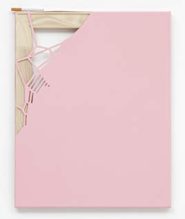 Monika Baer, 'monochrome', 2009, oil on canvas, in 'Focus: Monika Baer' at Chicago Art Institute. Image courtesy Chicago Art Institute.