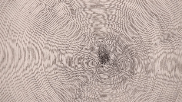 Giuseppe Penone, 'Propagazione', 1994/2014, detail of installation view, in 'Circling', at Gagosian, London. Image courtesy Gagosian.com