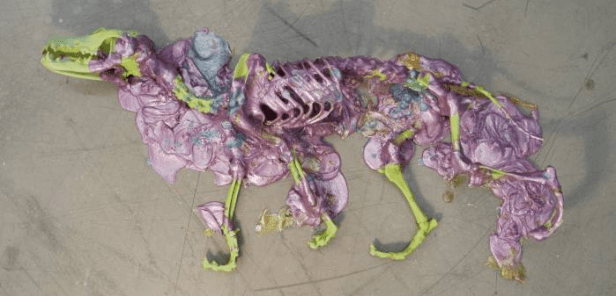 Jimmie Durham, installation view, in 'Traces and Shiny Evidence' at Parasol Unit, London. Image courtesy Jimmie Durham and Parasol Unit. Photo credit Kai Vollmer.