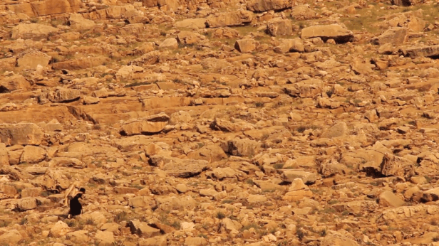 Noor Abed, still from 'We Both Know', 2013, HD video duration 09:15, in 'My Sister Who Travels' at Mosaic Rooms, London. Image courtesy the artist.