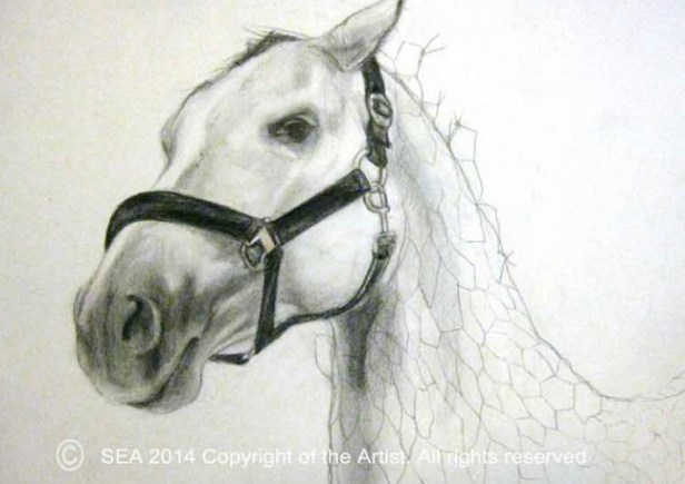 Martyna Sikora, 'Concept III', watercolour pencil, in 'The Horse in Art' at Mall Galleries, London. Image courtesy the artist and http://www.equestrianartists.co.uk