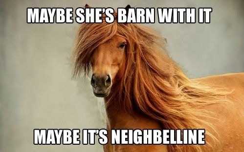 'Maybe she's barn with it..' Image courtesy Reddit. Designer unknown.