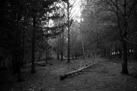 Hamody Gannam, untitled, 2014, photograph. Image courtesy the artist.