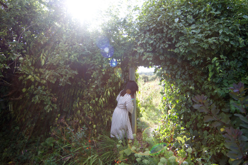 Gavin Freeborn, portrait of Honami Niishi, 2014. Photo copyright © Gavin Freeborn.