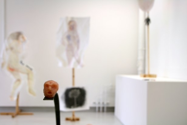 Maria Jose Carvallo (detail) in the MA Fine Art 2015 Summer Show at Chelsea College of Arts, London. Photo credit Kelise Franclemont.