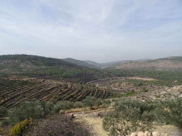 A view of Battir, a UNESCO World Heritage Site in Palestine/Occupied Territories, 11 November 2014. Photo credit Kelise Franclemont.