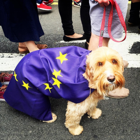 From March for Europe, London, 2 July 2016. Photo credit Kelise Franclemont.