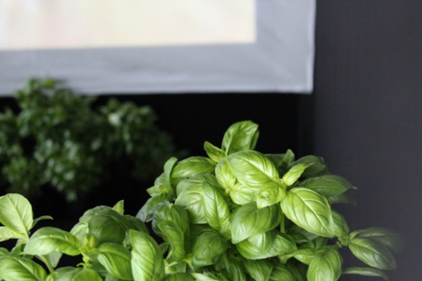 Installation detail by Emilia Maryniak.